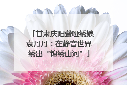 甘肃庆阳聋哑绣娘袁丹丹：在静音世界绣出“锦绣山河”
