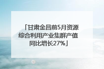 甘肃金昌前5月资源综合利用产业集群产值同比增长27%