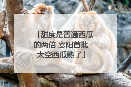 甜度是普通西瓜的两倍 襄阳首批太空西瓜熟了