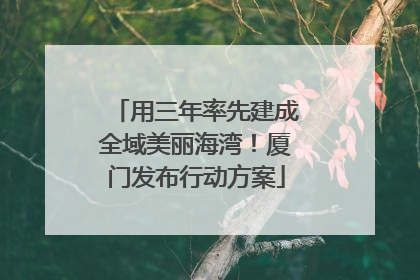 用三年率先建成全域美丽海湾！厦门发布行动方案