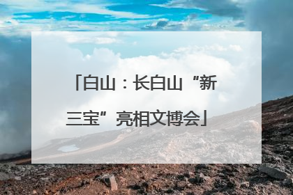白山：长白山“新三宝”亮相文博会