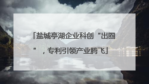 盐城亭湖企业科创“出圈”，专利引领产业腾飞