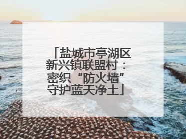 盐城市亭湖区新兴镇联盟村：密织“防火墙”守护蓝天净土