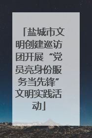 盐城市文明创建巡访团开展“党员亮身份服务当先锋”文明实践活动