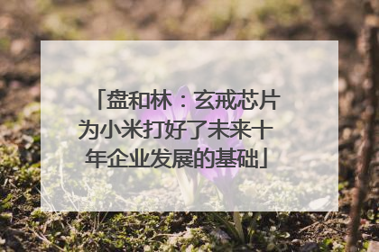 盘和林：玄戒芯片为小米打好了未来十年企业发展的基础