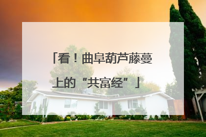 看！曲阜葫芦藤蔓上的“共富经”