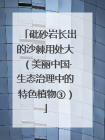 砒砂岩长出的沙棘用处大（美丽中国·生态治理中的特色植物③）