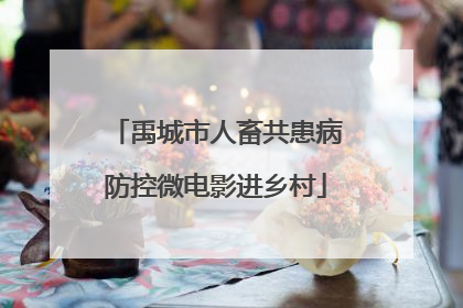 禹城市人畜共患病防控微电影进乡村
