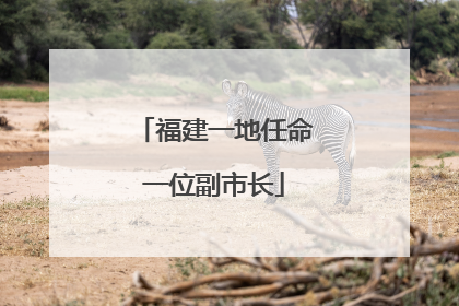 福建一地任命一位副市长