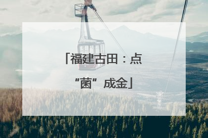福建古田：点“菌”成金