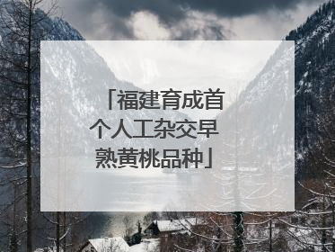 福建育成首个人工杂交早熟黄桃品种
