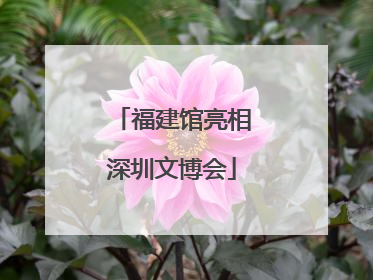福建馆亮相深圳文博会