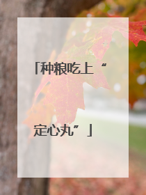种粮吃上“定心丸”