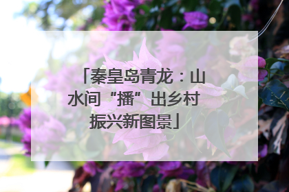 秦皇岛青龙：山水间“播”出乡村振兴新图景