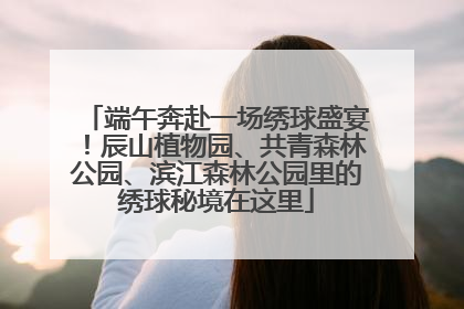 端午奔赴一场绣球盛宴！辰山植物园、共青森林公园、滨江森林公园里的绣球秘境在这里