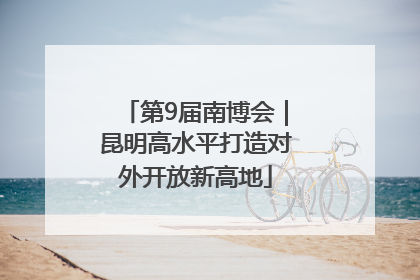 第9届南博会｜昆明高水平打造对外开放新高地