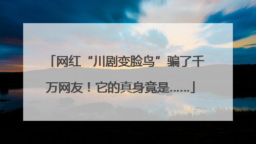 网红“川剧变脸鸟”骗了千万网友！它的真身竟是……