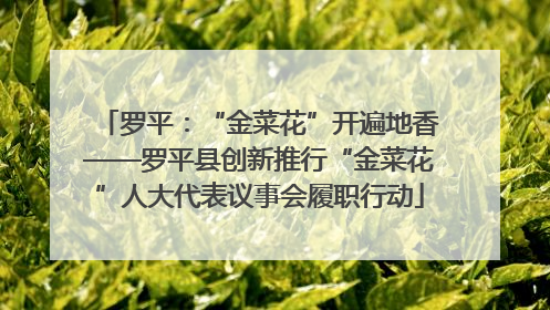 罗平：“金菜花”开遍地香——罗平县创新推行“金菜花”人大代表议事会履职行动