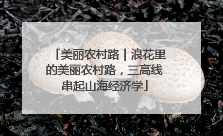 美丽农村路｜浪花里的美丽农村路，三高线串起山海经济学