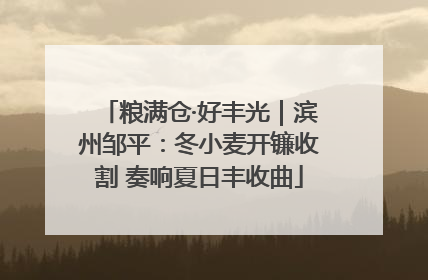 粮满仓·好丰光｜滨州邹平：冬小麦开镰收割 奏响夏日丰收曲