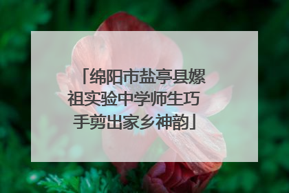 绵阳市盐亭县嫘祖实验中学师生巧手剪出家乡神韵