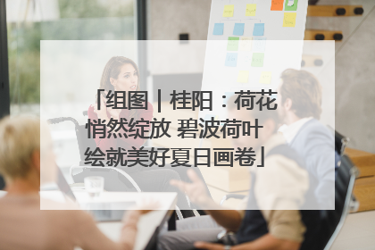 组图｜桂阳：荷花悄然绽放 碧波荷叶绘就美好夏日画卷