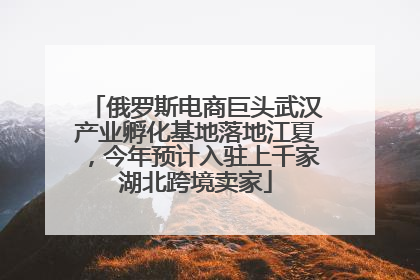 俄罗斯电商巨头武汉产业孵化基地落地江夏，今年预计入驻上千家湖北跨境卖家