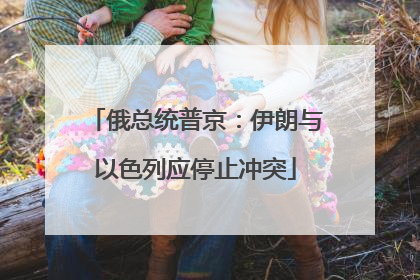 俄总统普京：伊朗与以色列应停止冲突