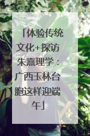 体验传统文化+探访朱熹理学：广西玉林台胞这样迎端午