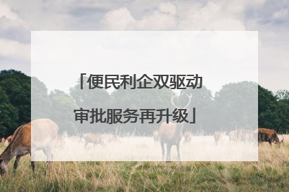 便民利企双驱动 审批服务再升级