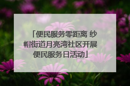 便民服务零距离 纱帽街道月亮湾社区开展便民服务日活动