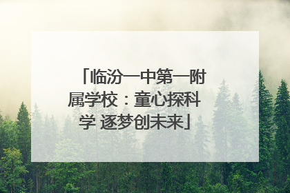 临汾一中第一附属学校：童心探科学 逐梦创未来
