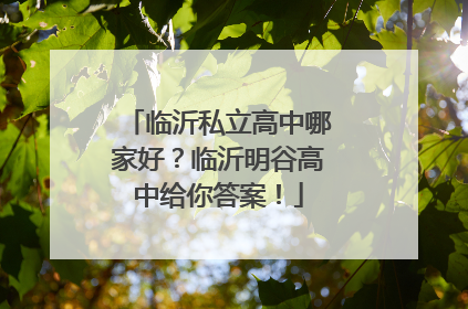 临沂私立高中哪家好？临沂明谷高中给你答案！