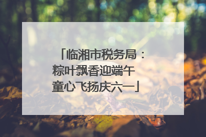 临湘市税务局：粽叶飘香迎端午 童心飞扬庆六一