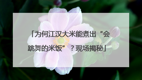 为何江汉大米能煮出“会跳舞的米饭”？现场揭秘