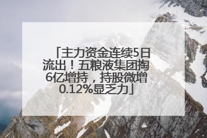 主力资金连续5日流出！五粮液集团掏6亿增持，持股微增0.12%显乏力