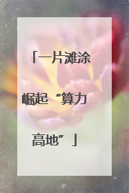 一片滩涂崛起“算力高地”