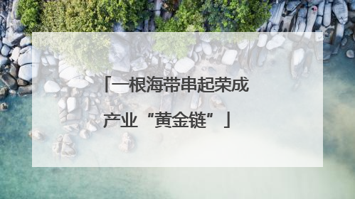 一根海带串起荣成产业“黄金链”