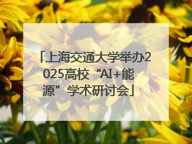 上海交通大学举办2025高校“AI+能源”学术研讨会