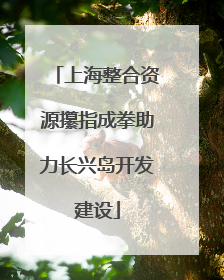 上海整合资源攥指成拳助力长兴岛开发建设