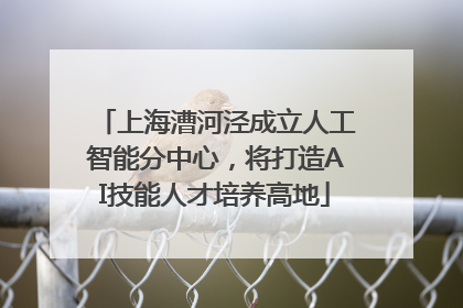 上海漕河泾成立人工智能分中心，将打造AI技能人才培养高地