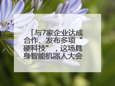 与7家企业达成合作、发布多项“硬科技”，这场具身智能机器人大会蓉城启幕
