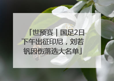 世预赛｜国足2日下午出征印尼，刘若钒因伤落选大名单