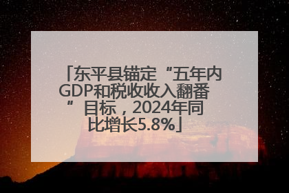 东平县锚定“五年内GDP和税收收入翻番”目标，2024年同比增长5.8%