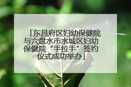 东昌府区妇幼保健院与六盘水市水城区妇幼保健院“手拉手”签约仪式成功举办