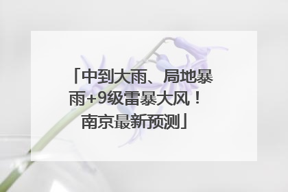 中到大雨、局地暴雨+9级雷暴大风！南京最新预测