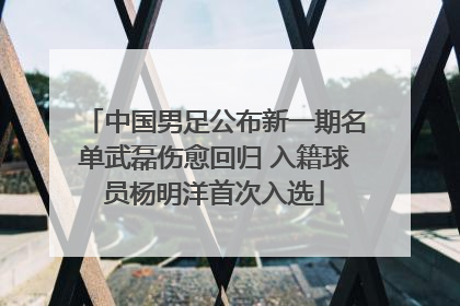 中国男足公布新一期名单武磊伤愈回归 入籍球员杨明洋首次入选