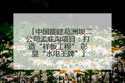 中国能建葛洲坝二公司孟底沟项目：打造“样板工程” 彰显“水电王牌”