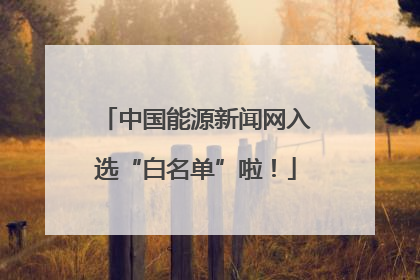 中国能源新闻网入选“白名单”啦！