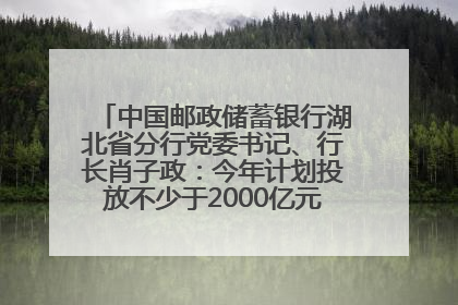 中国邮政储蓄银行湖北省分行党委书记、行长肖子政：今年计划投放不少于2000亿元支持支点建设